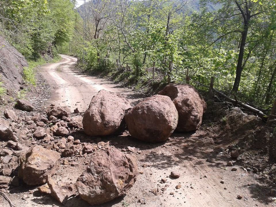 Beşikdüzü Dolanlı Köyü Resimleri 16