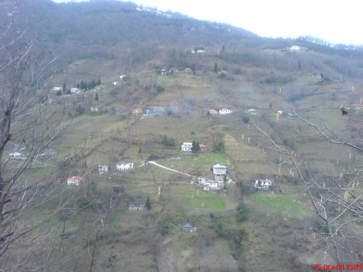 Beşikdüzü Dolanlı Köyü Resimleri 17