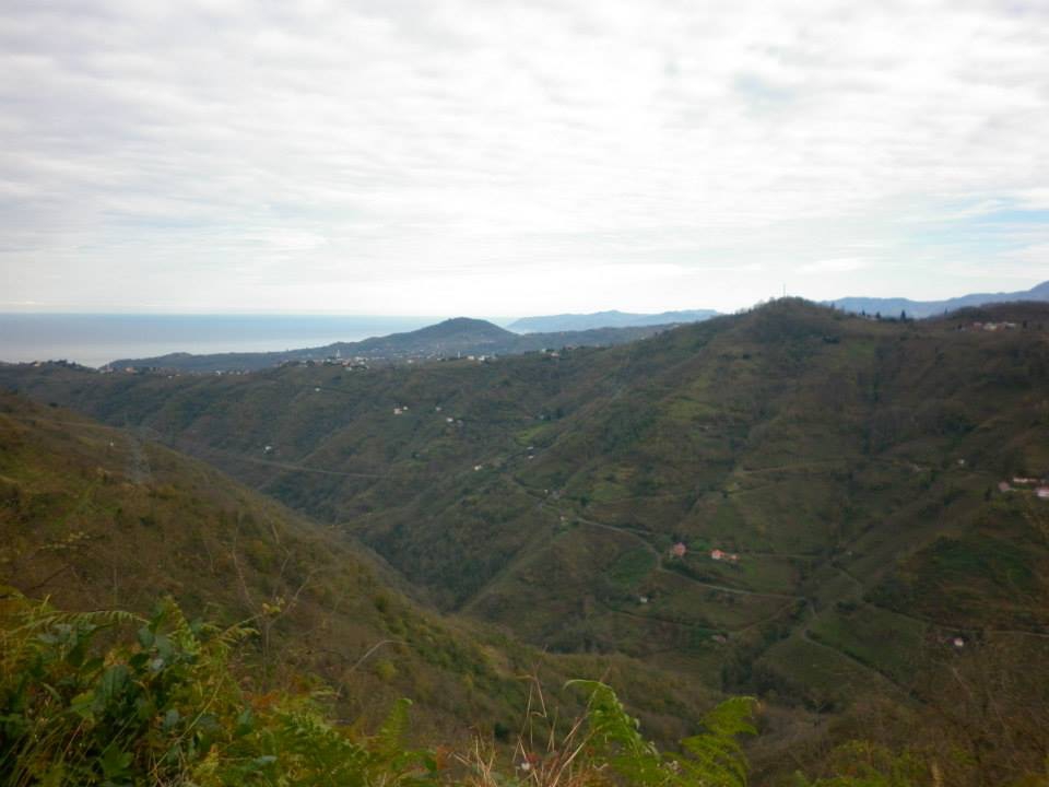 Beşikdüzü Dolanlı Köyü Resimleri 18