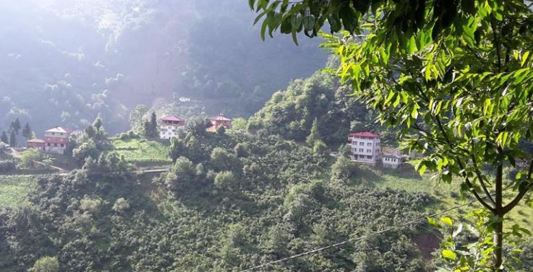 Beşikdüzü Dolanlı Köyü Resimleri 20