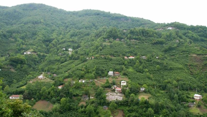 Beşikdüzü Dolanlı Köyü Resimleri 3