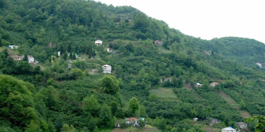 Beşikdüzü Dolanlı Köyü Resimleri