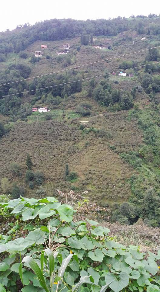 Beşikdüzü Duygulu Köyü Resimleri 1