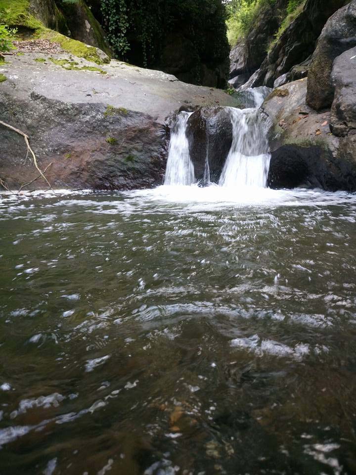Beşikdüzü Duygulu Köyü Resimleri 12