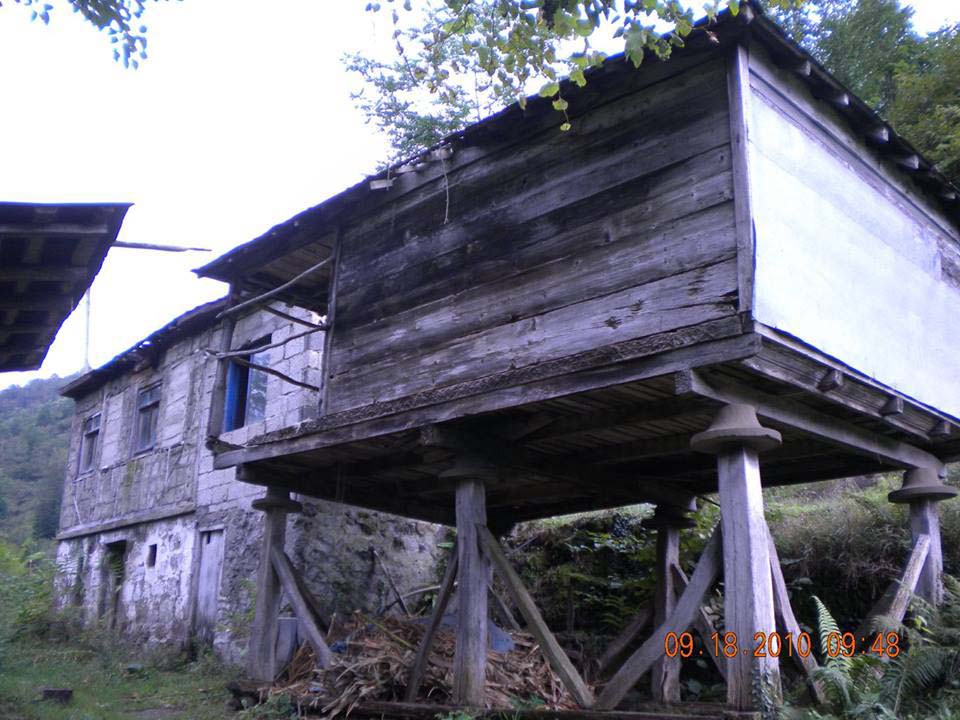 Beşikdüzü Duygulu Köyü Resimleri 13