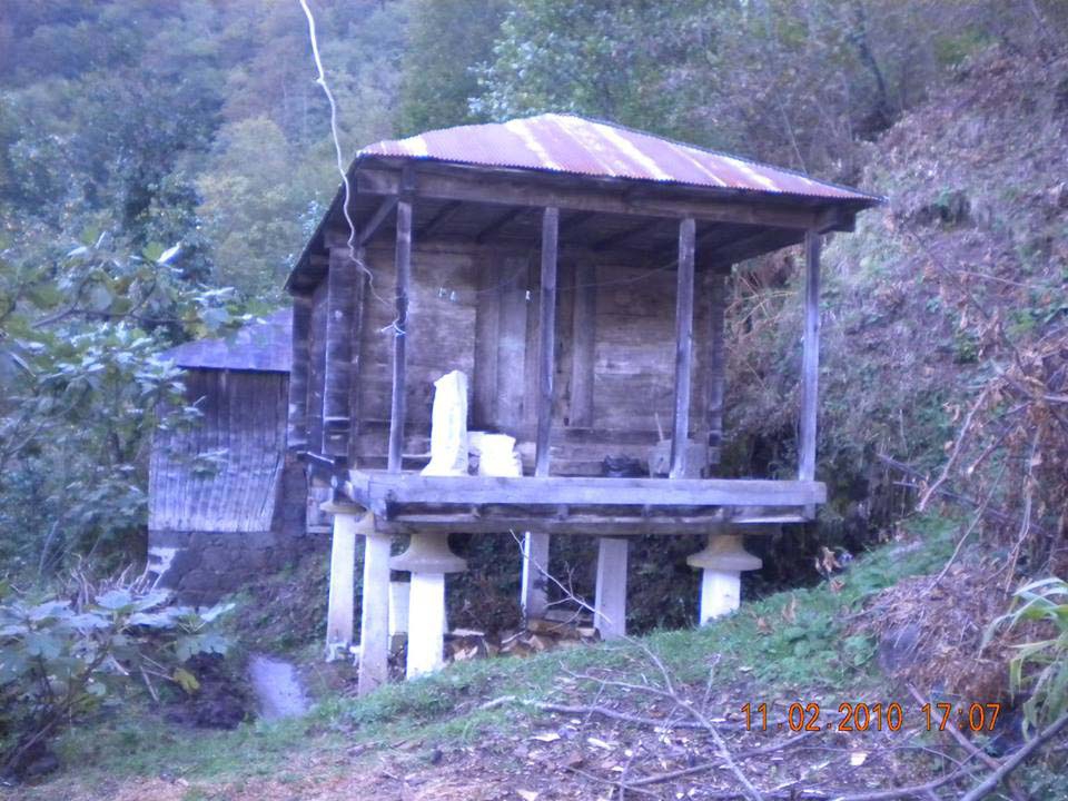 Beşikdüzü Duygulu Köyü Resimleri 14