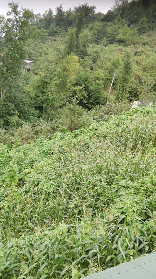 Beşikdüzü Duygulu Köyü Resimleri 15