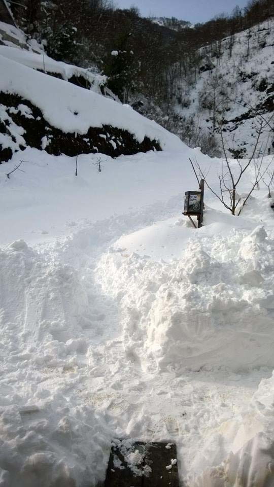 Beşikdüzü Duygulu Köyü Resimleri 16