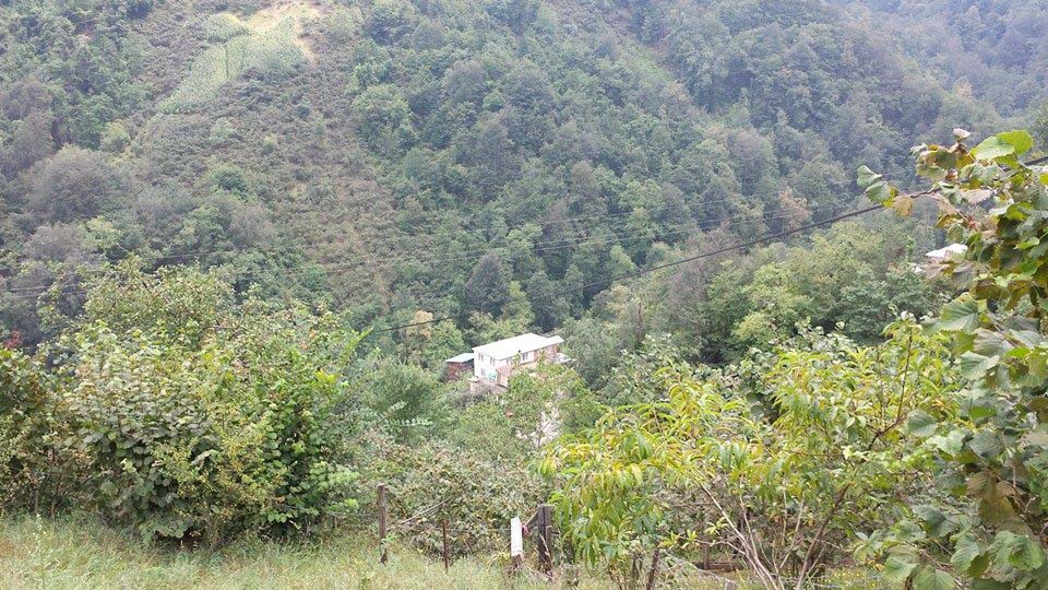 Beşikdüzü Duygulu Köyü Resimleri 17