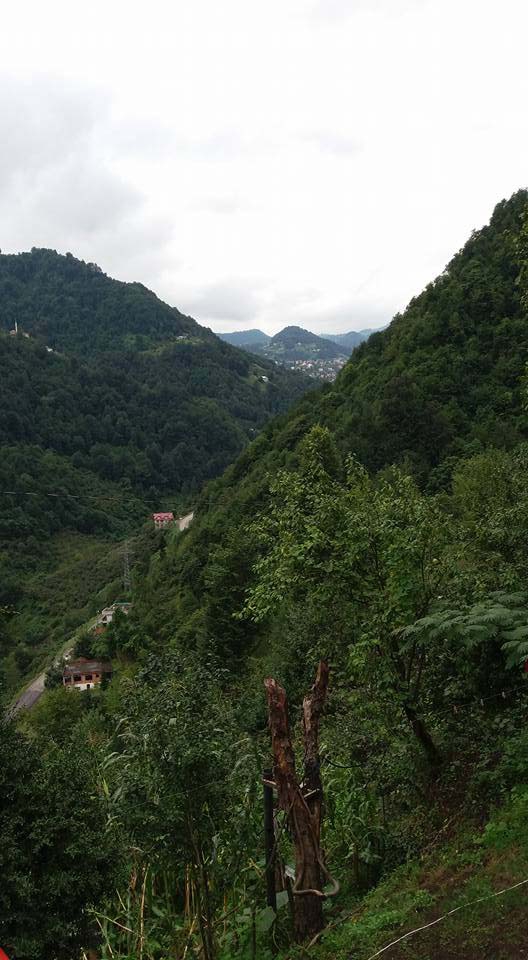 Beşikdüzü Duygulu Köyü Resimleri 2