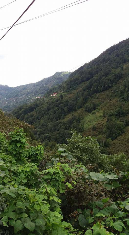 Beşikdüzü Duygulu Köyü Resimleri 3