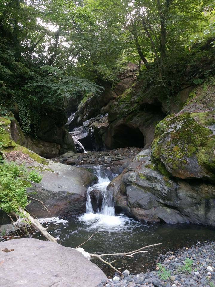 Beşikdüzü Duygulu Köyü Resimleri 4