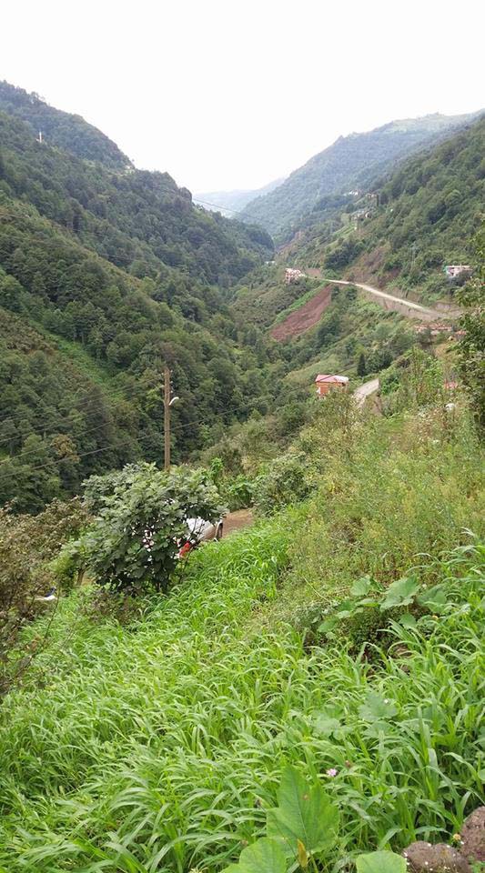 Beşikdüzü Duygulu Köyü Resimleri 8