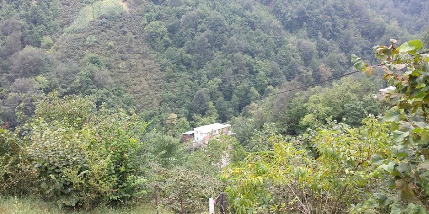 Beşikdüzü Duygulu Köyü Resimleri