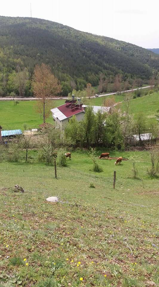 Azdavay Akçaçam Köyü Resimleri 8