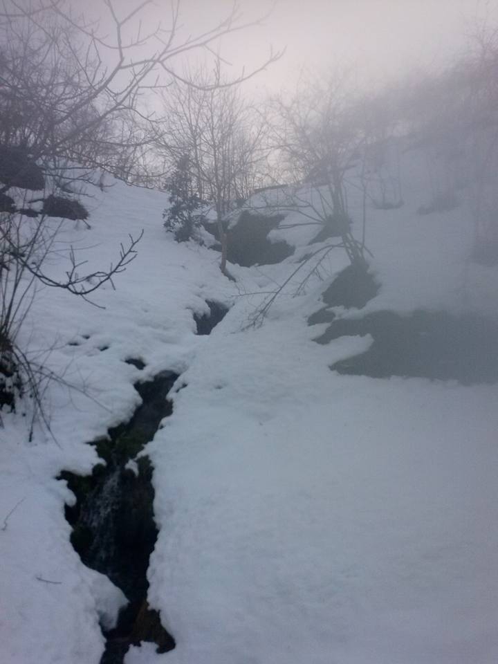 Beşikdüzü Gürgenli  Köyü Resimleri 11