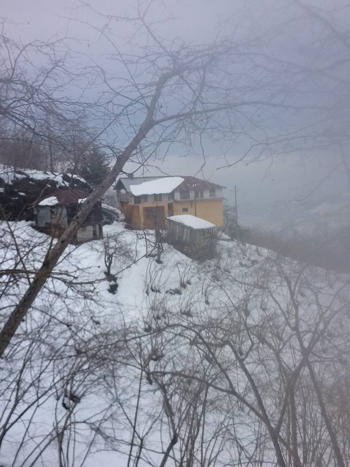 Beşikdüzü Gürgenli  Köyü Resimleri 12