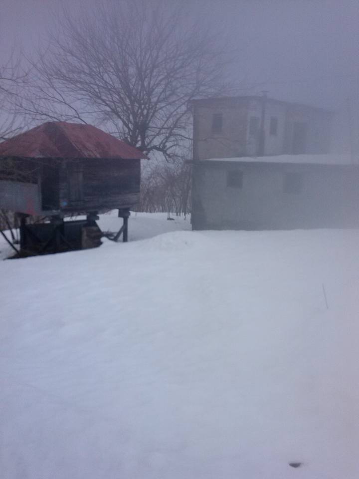 Beşikdüzü Gürgenli  Köyü Resimleri 4