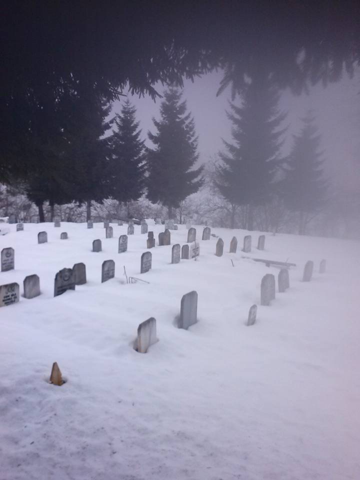 Beşikdüzü Gürgenli  Köyü Resimleri 5