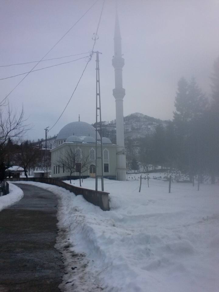 Beşikdüzü Gürgenli  Köyü Resimleri 6