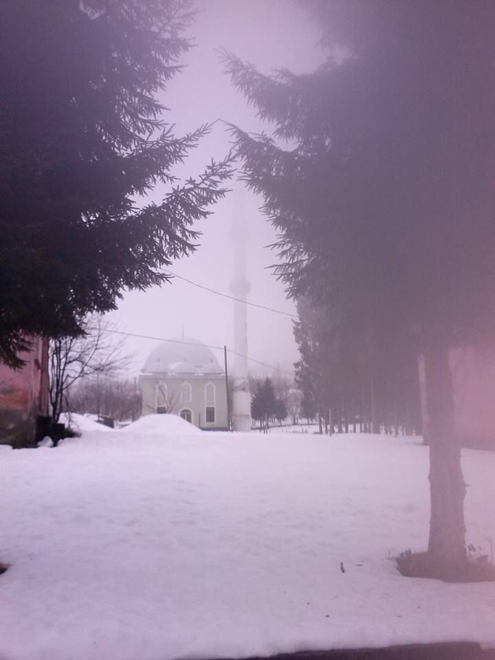 Beşikdüzü Gürgenli  Köyü Resimleri 7