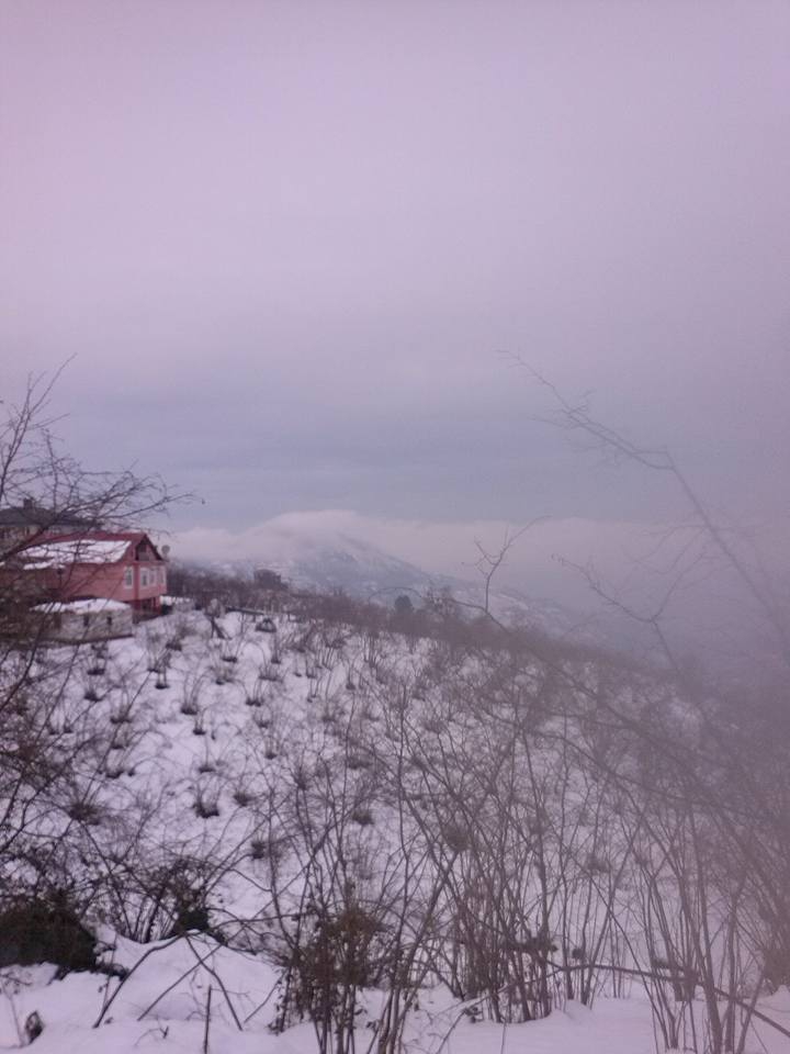 Beşikdüzü Gürgenli  Köyü Resimleri 8