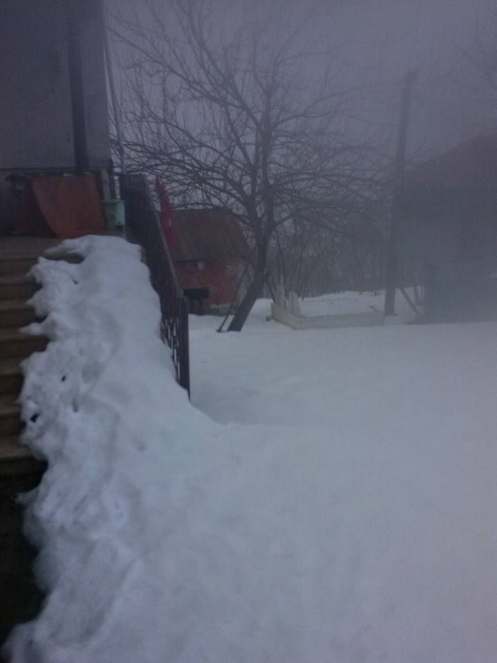 Beşikdüzü Gürgenli  Köyü Resimleri 9