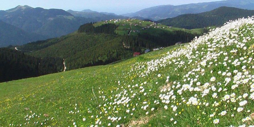 Beşikdüzü Gürgenli  Köyü Resimleri
