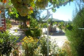 Eşme Kolankaya Köyü Resimleri 11