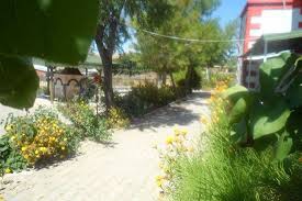 Eşme Kolankaya Köyü Resimleri 6