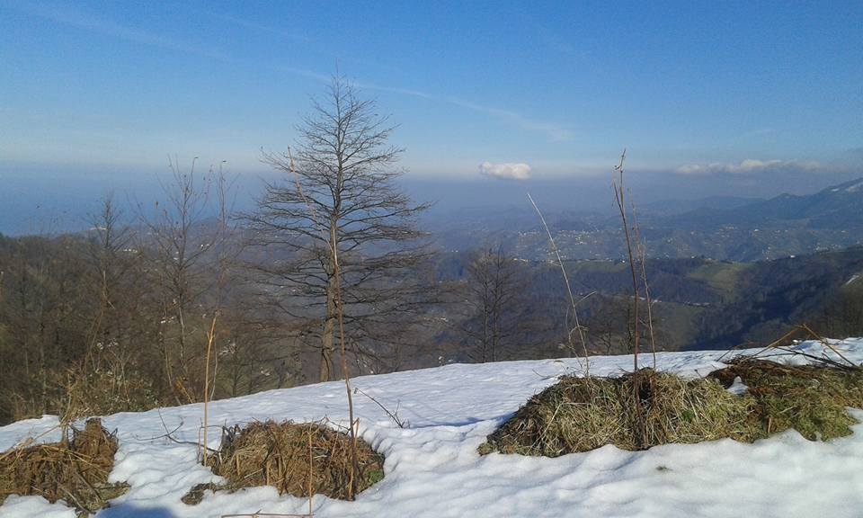 Beşikdüzü Hünerli Köyü Resimleri 11