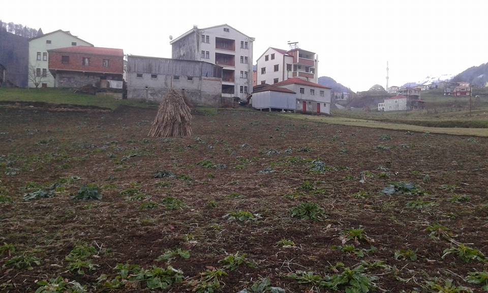 Beşikdüzü Hünerli Köyü Resimleri 15