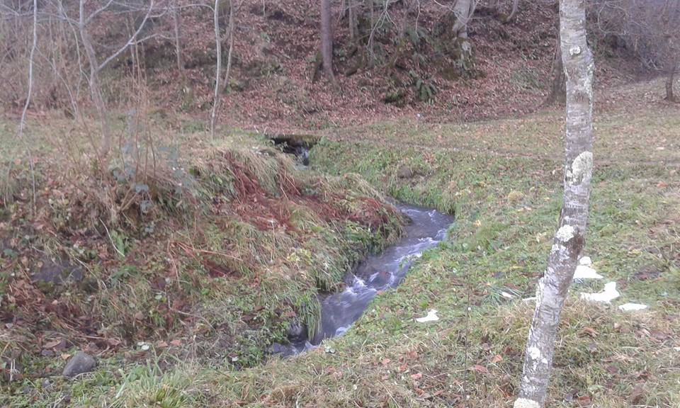 Beşikdüzü Hünerli Köyü Resimleri 16