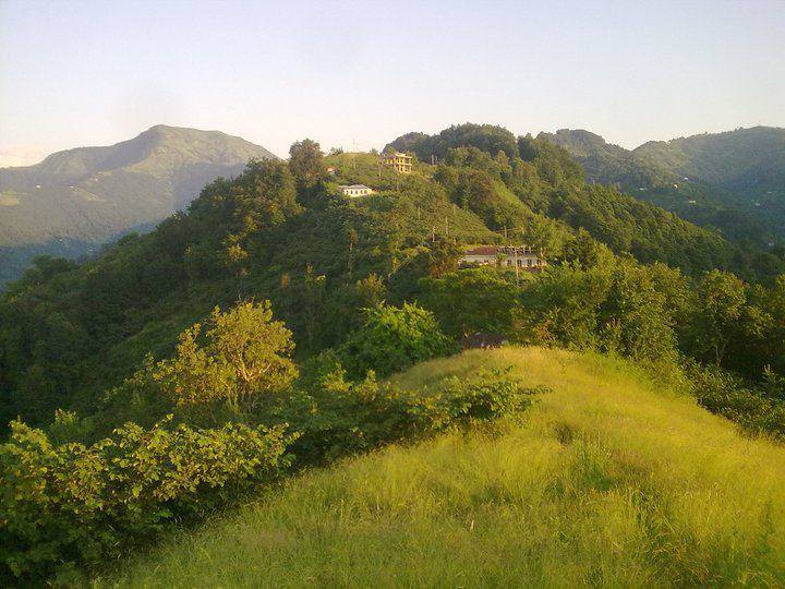 Beşikdüzü Hünerli Köyü Resimleri 19