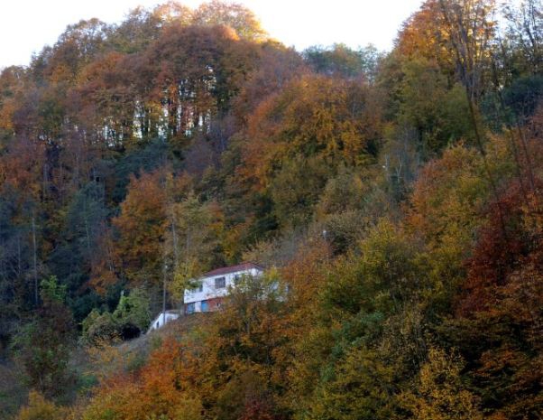 Beşikdüzü Hünerli Köyü Resimleri 20