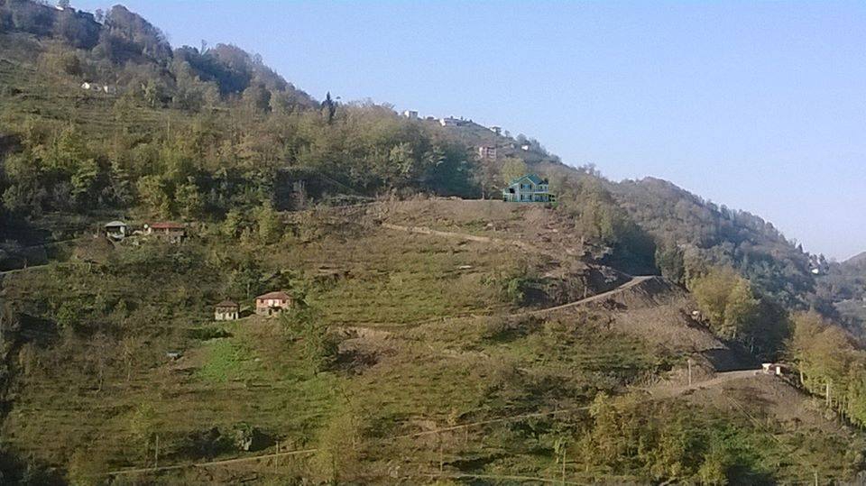 Beşikdüzü Hünerli Köyü Resimleri 21