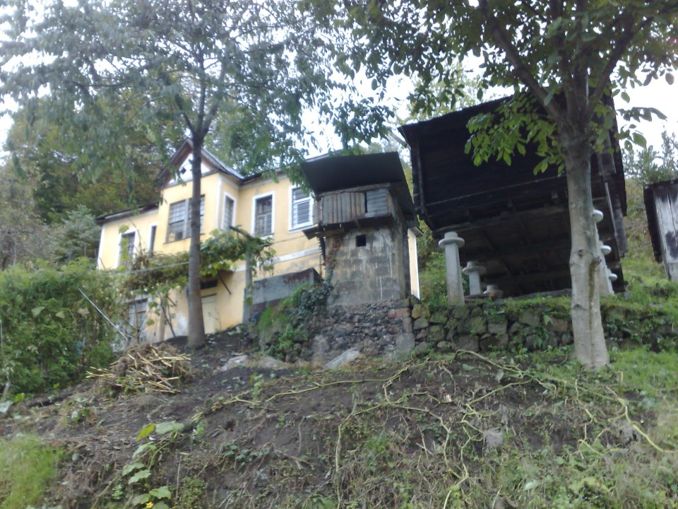 Beşikdüzü Hünerli Köyü Resimleri 22