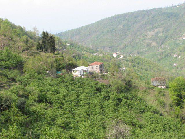 Beşikdüzü Hünerli Köyü Resimleri 23