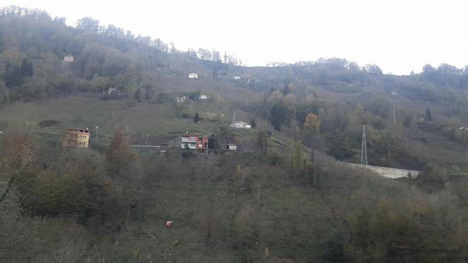 Beşikdüzü Hünerli Köyü Resimleri 24