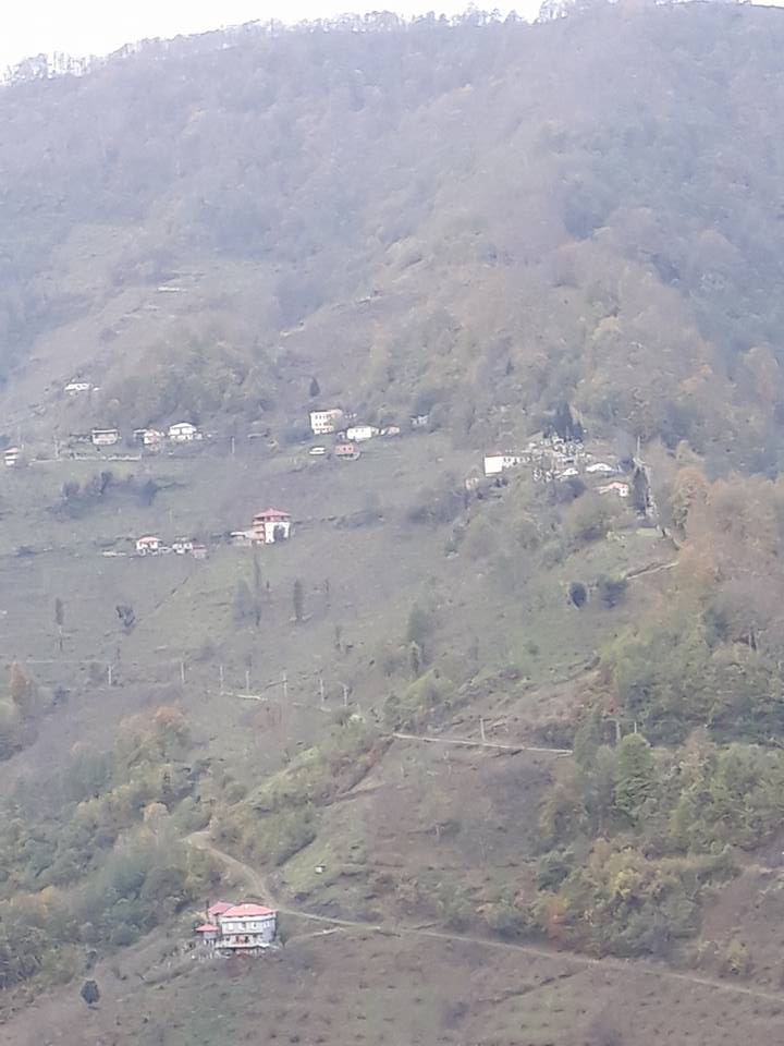 Beşikdüzü Hünerli Köyü Resimleri 27