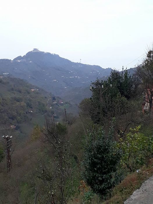 Beşikdüzü Hünerli Köyü Resimleri 29