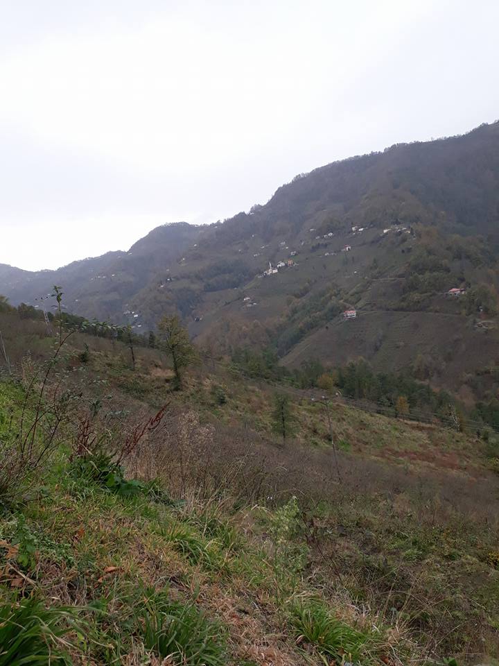 Beşikdüzü Hünerli Köyü Resimleri 30