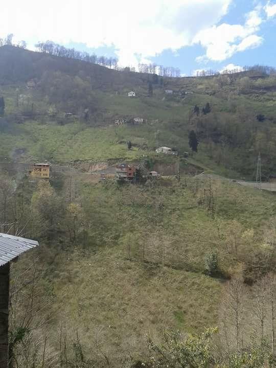 Beşikdüzü Hünerli Köyü Resimleri 36