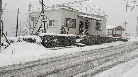 Beşikdüzü Hünerli Köyü Resimleri 37