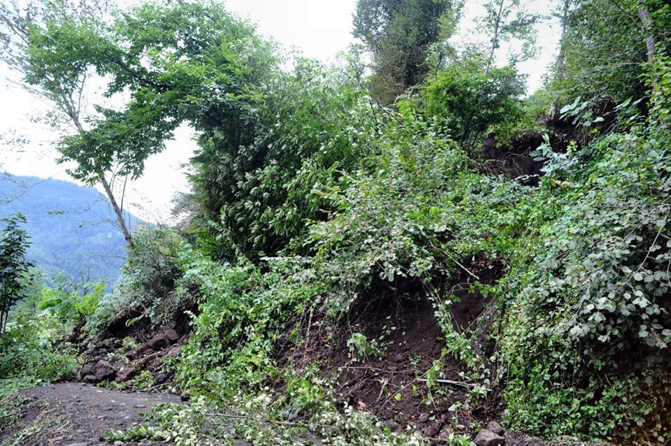 Beşikdüzü Hünerli Köyü Resimleri 4