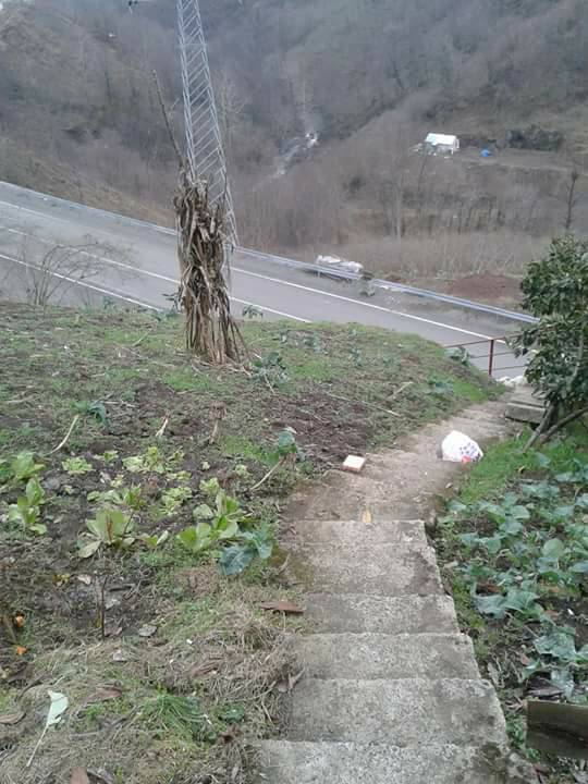 Beşikdüzü Hünerli Köyü Resimleri 40