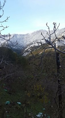 Beşikdüzü Hünerli Köyü Resimleri 6