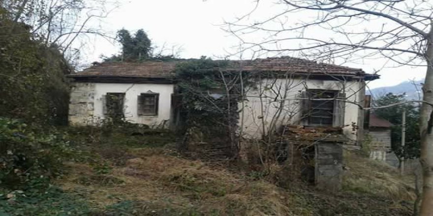 Beşikdüzü Hünerli Köyü Resimleri