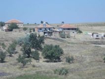 Balışeyh Selamlı Köyü Resimleri 1