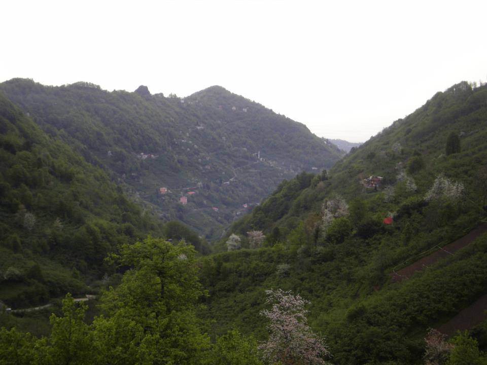 Beşikdüzü Kalegüney Köyü Resimleri 1
